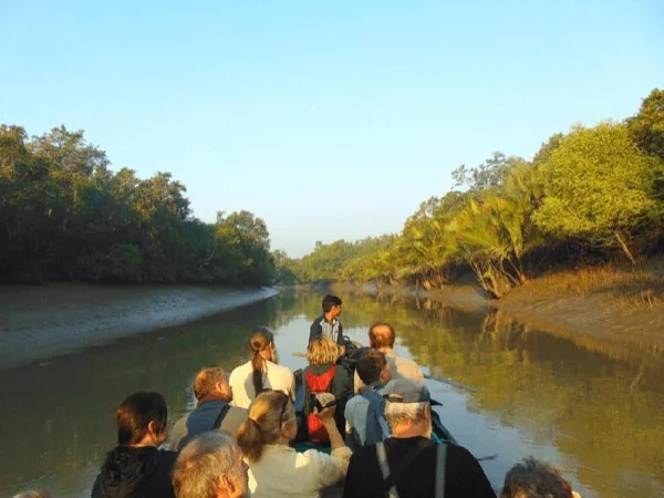 Explore Sundarbans : The Home of Royal Bengal Tiger