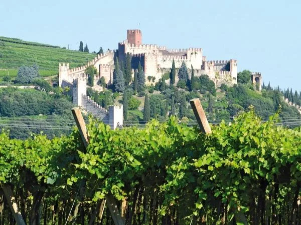 Soave wine tour with lunch, transport and visit of the Medieval Castle