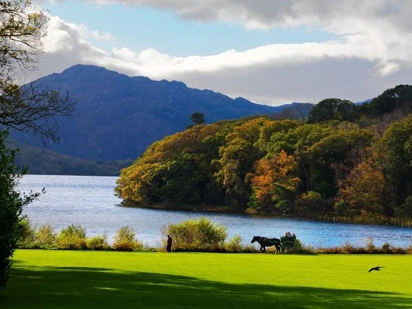 Killarney and Kenmare day trip