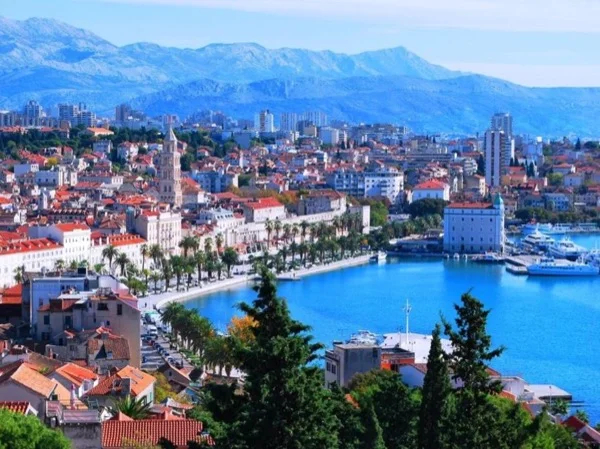 Cover media image