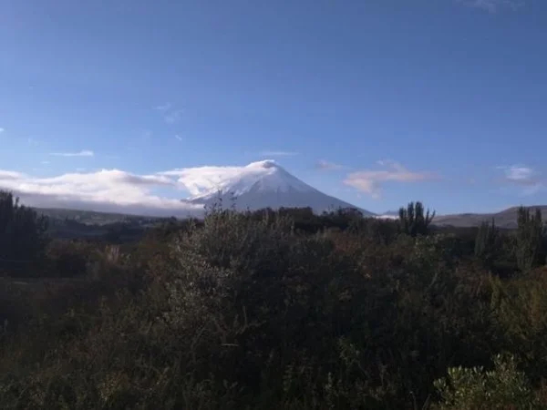 Cotopaxi National Park - 8 hours Guided Tour