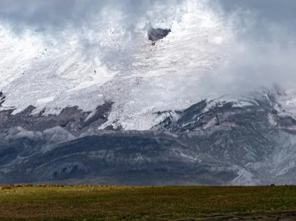 Antisana National Reserve- 8 hours Guided Tour