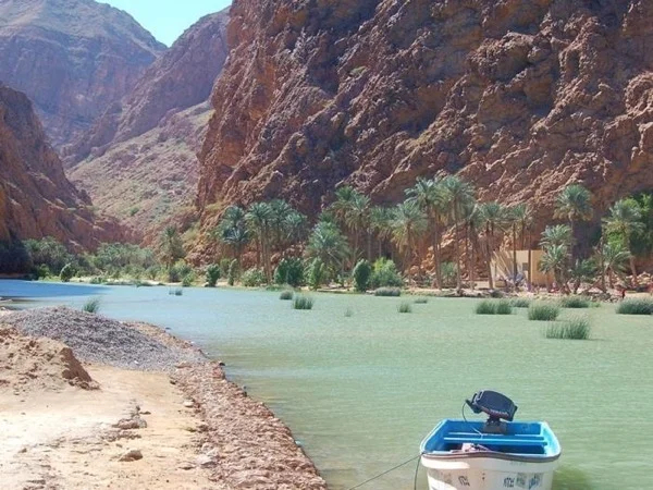 Coast and Wadi Shab
