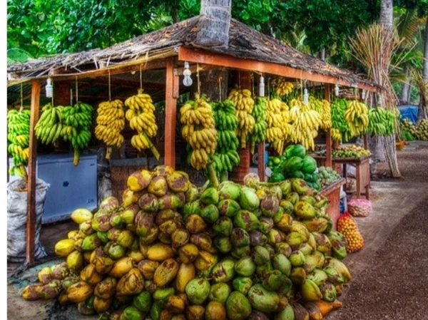 Salalah City Highlights Private Tour
