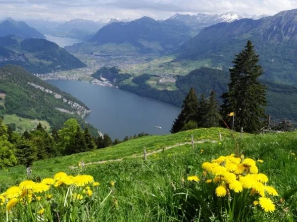 Day excursion with hiking sections to Mount Pilatus