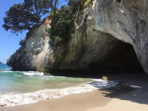 Magical Coromandel Peninsula - A Full Day Tour Out Of Auckland