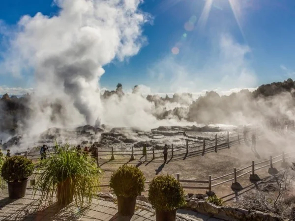 3 Day Private Tour Auckland To Hobbiton/ Rotorua/ Coromandel Peninsula