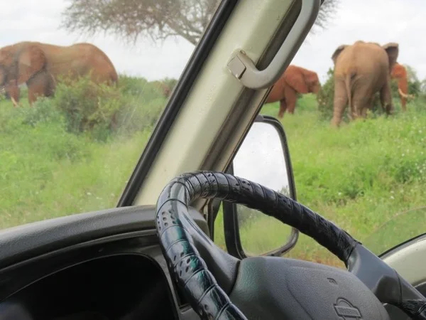 6 days/5 nights Nairobi-Tsavo East, Tsavo West, Chyulu Hills, Amboseli private tour