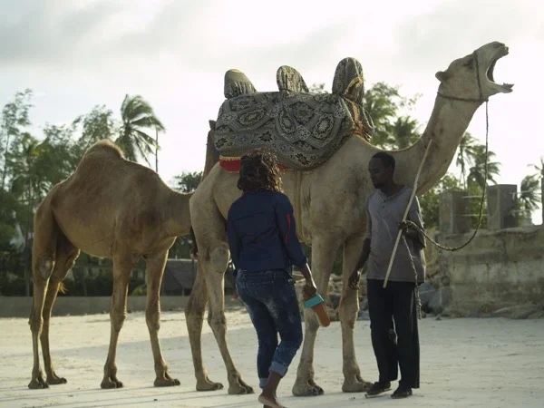 6 Day best of mid northern Kenya