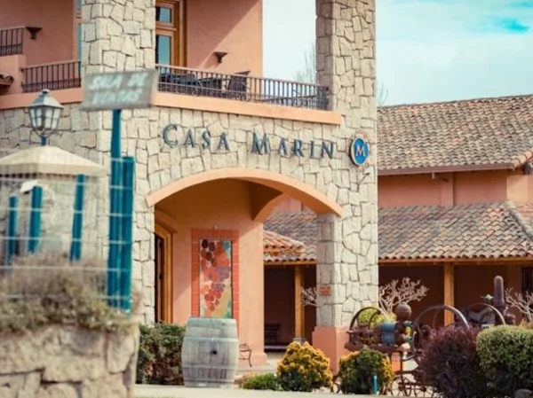 San Antonio Port, Lo Abarca, Santiago and The Experience Gourmet Tour