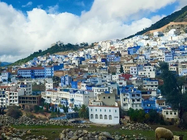 Chefchaouen Full-day Tour from Fez