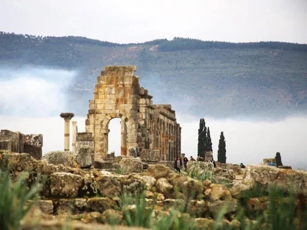 Full-day Tour of Volubilis Moulay Idriss and Meknes