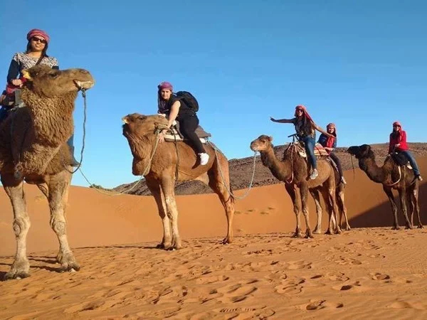 Sahara Desert Tour from Fes to Marrakech