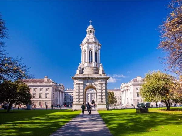 Cover media image