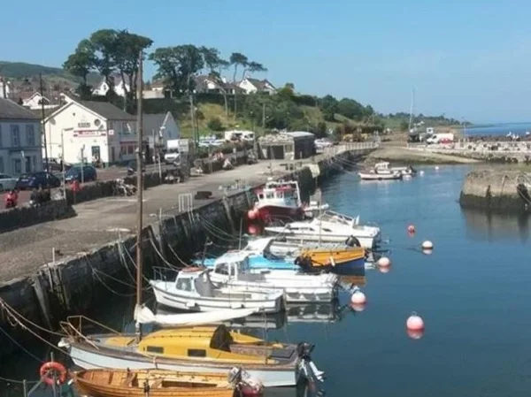 Harbors and Hills Full Day Tour
