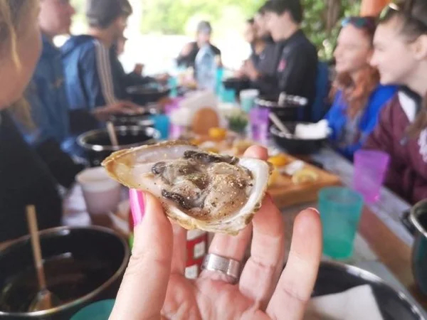 Enjoy this delicious experience of eating fresh mussels on a farm in the Boka Bay