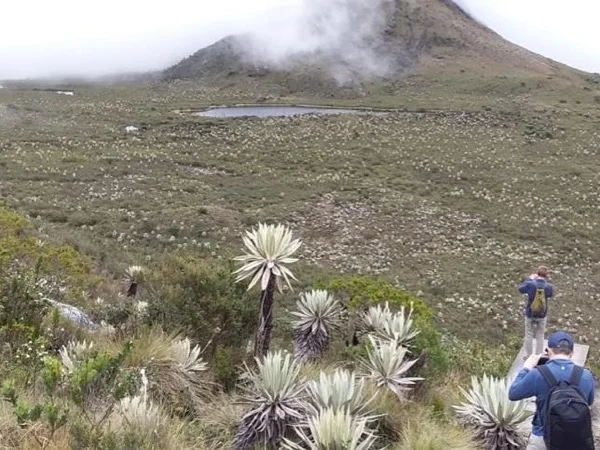 Private tour full day to the Chingaza National Natural Park