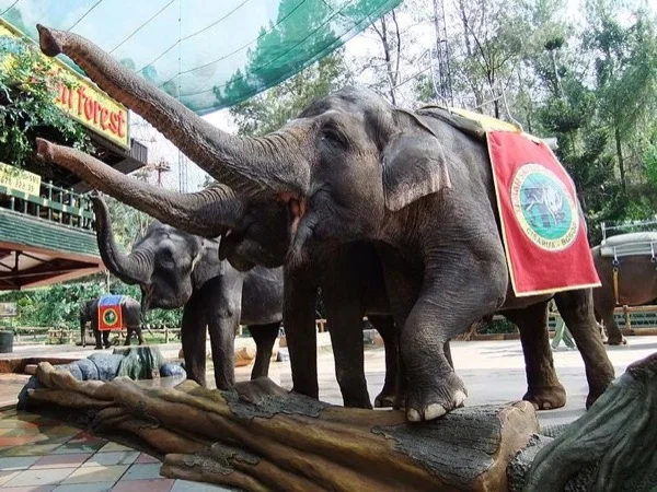 Adventure at Safari Park Bogor