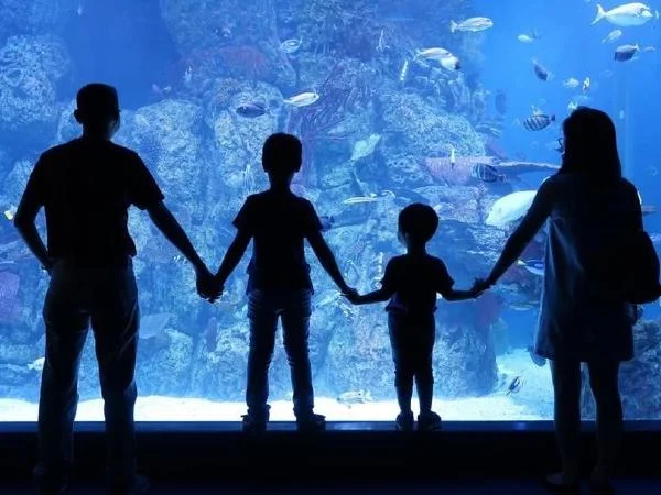 Jakarta Aquarium and Art Museum