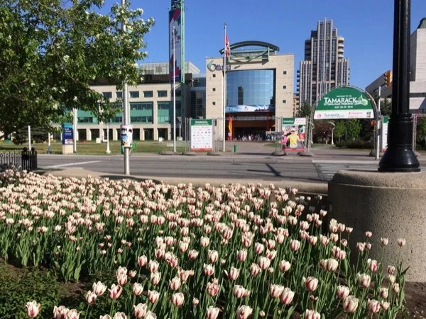 Short Version Tour of downtown Ottawa