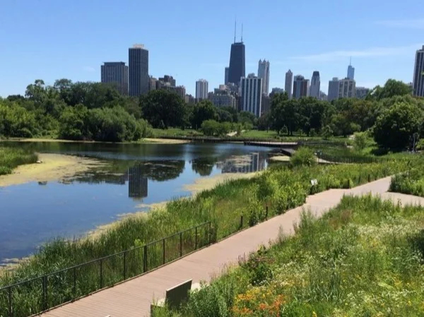 Navigating Chicago Tour