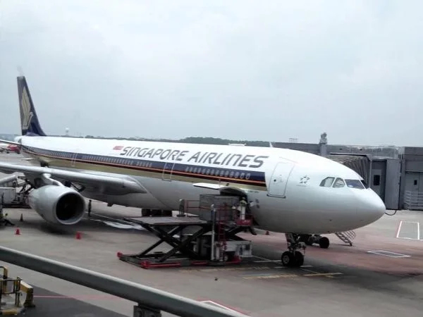 Enchanting Singapore Airport Layover Half Day Tour