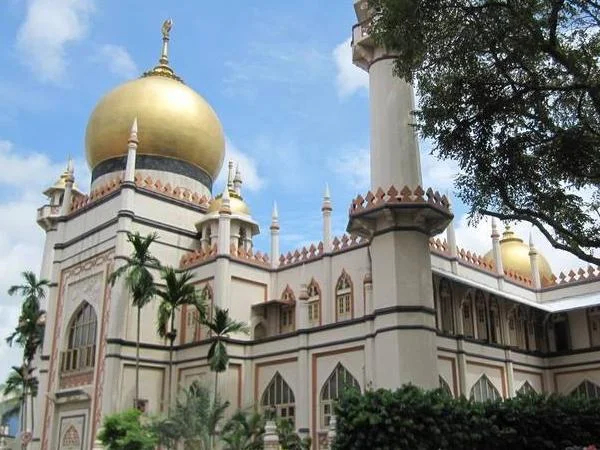City + Kampong Glam Walking Tour (Half Day or more)
