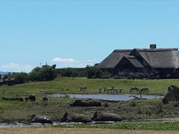 Tala, Phezulu Day Tour