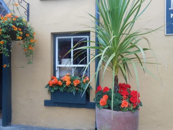 Full-day Private walking tour Limerick