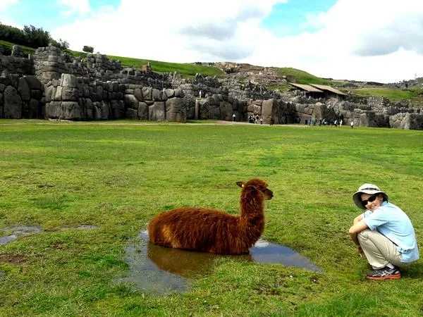 Cusco City and Outskirts Tour