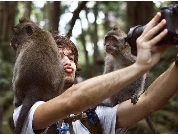 Ubud Clasic : Monkey Santuary, Sacred Temple & Coffee Tasting Tour with Transfer. 