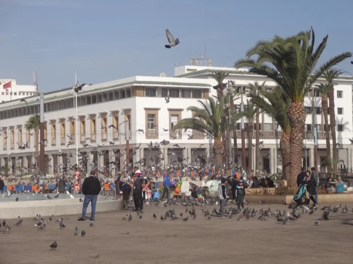 A Unique Cultural Discovery of Casablanca
