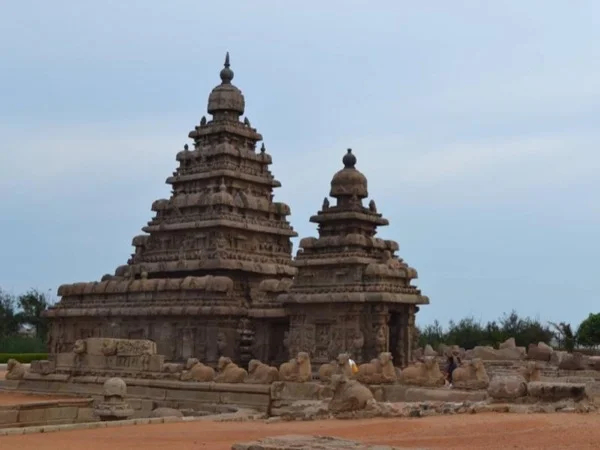 Mahabalipuram: South Indian Art, History and Culture - Private Tour from Chennai
