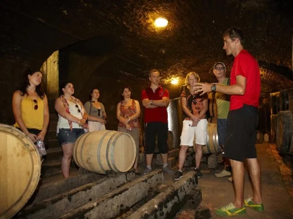 Half day Burgundy bike wine tour