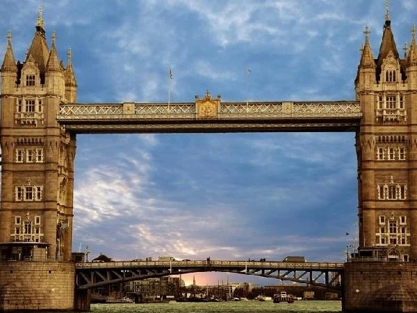 Cover media image