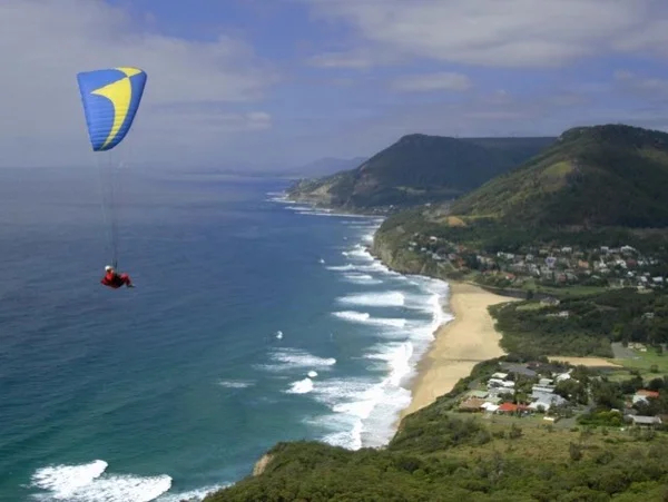 South Coast, Kiama Blowhole and Tree Tops Walk Private Tour
