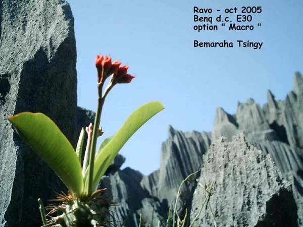 Cover media image