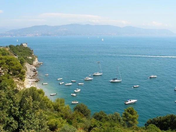 Palmaria Island