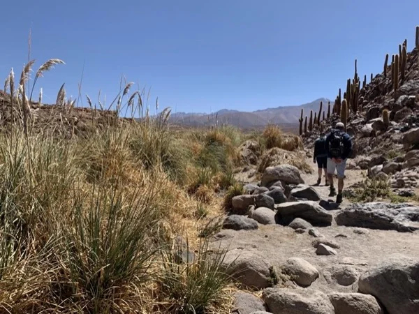 Puritama Hot springs & Guatin Cactii Valley