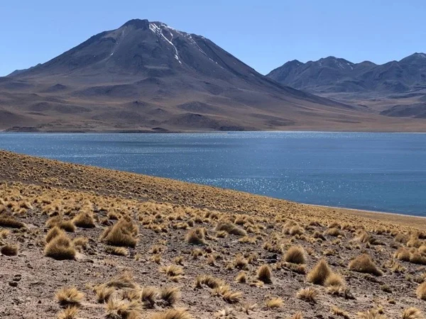 High Plateau Lagoons & Atacama Salt lake