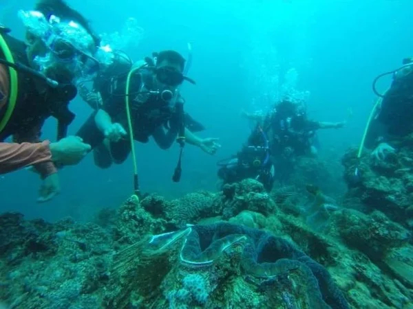 Introduction to Scuba Diving Day Tour