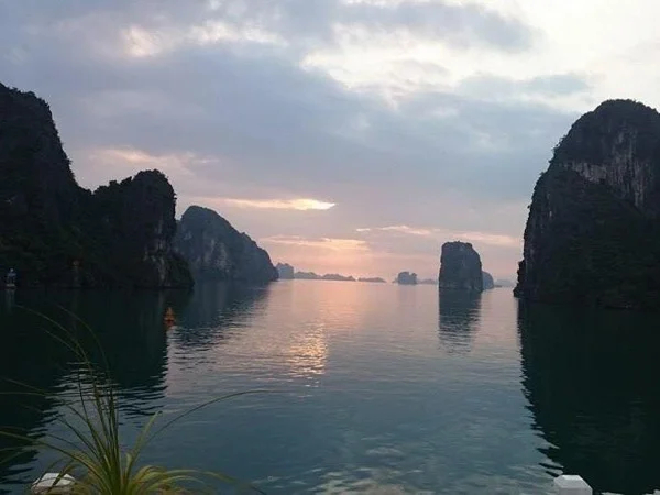 Cover media image