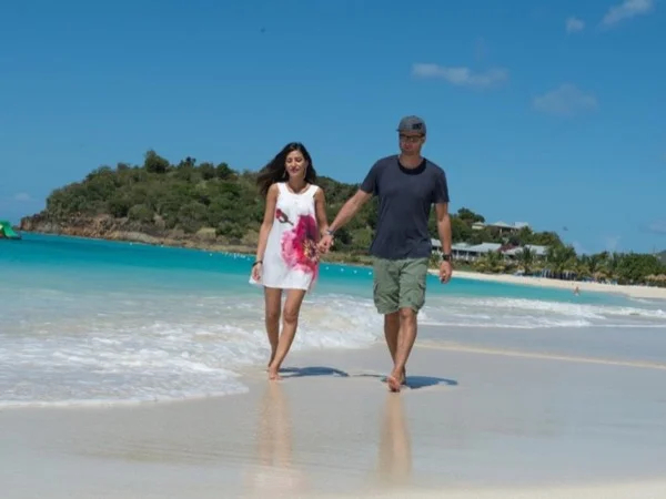 Cover media image