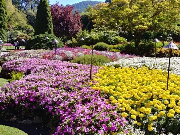 Victoria Butchart Gardens Private Tour
