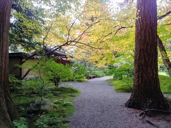 Vancouver Botanical Gardens and Museum Explorer