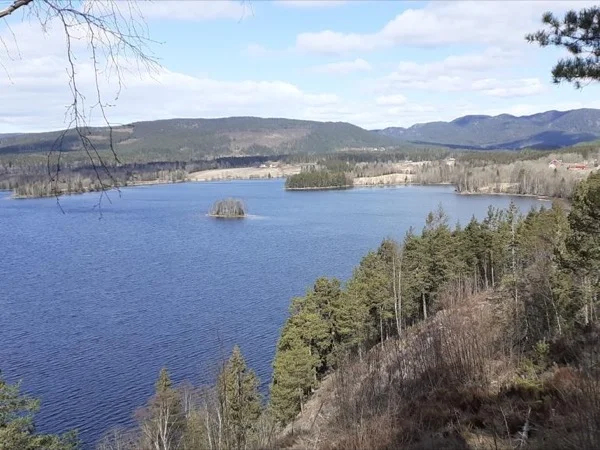 Urban Hike: River, Lake & Woods: 6 hours