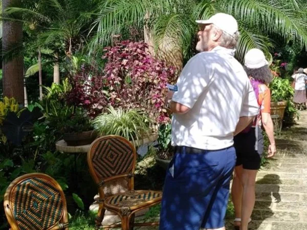 Barbados Enchanted Garden Tour: Discover the Island's Hidden Natural Beauty
