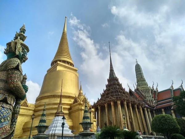 Cover media image