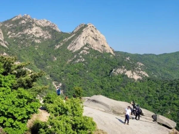 Mountain Hiking Tour in Seoul (Bukhansan National Park)