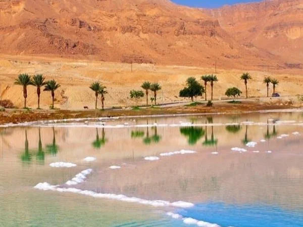 Massada, Qumran & the Dead Sea Tour With Aladdin